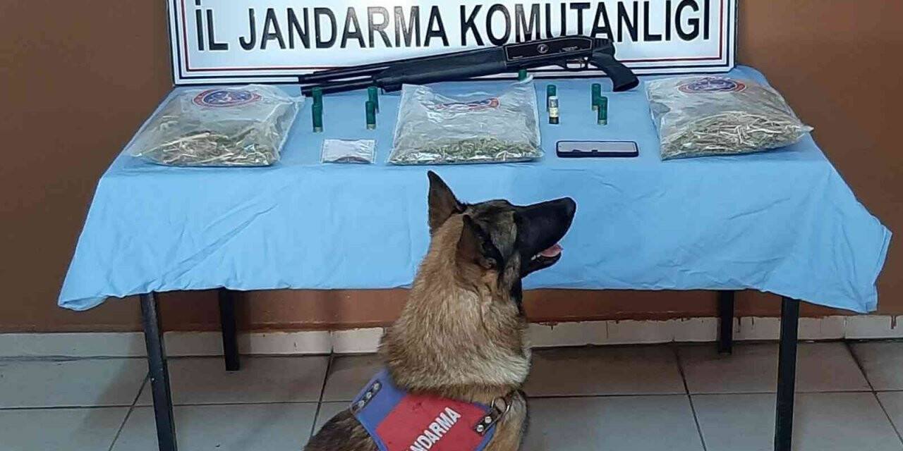Jandarmadan uyuşturucu perasyonu
