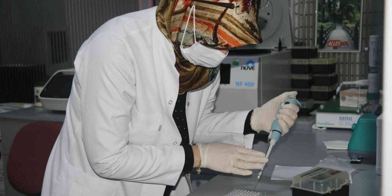 Dicle Üniversitesi pandemiye rağmen yılda 25 kemik iliği nakli gerçekleştirdi