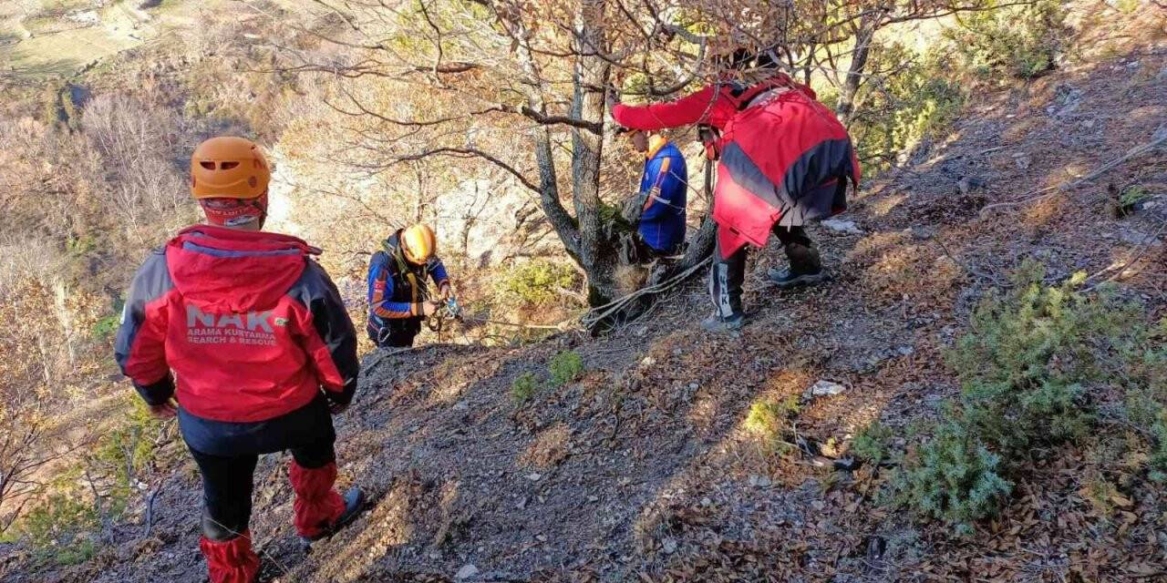 Bursa’da kayalıklarda mahsur kalıp ölümü bekleyen köpeği ekipler kurtardı