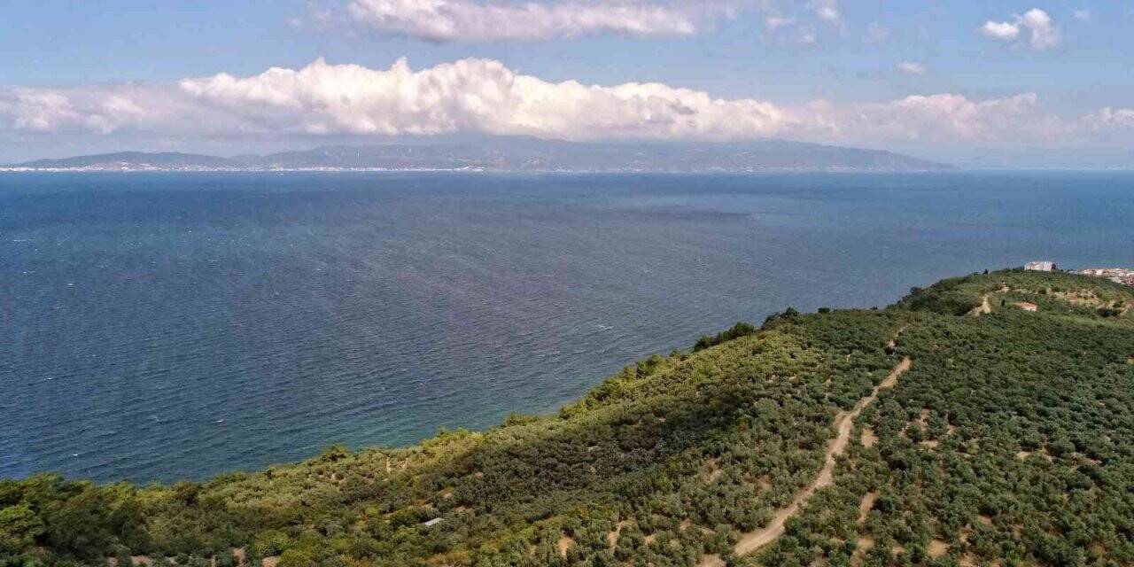 Yeniden temiz bir Marmara için “deniz çalıştayı”
