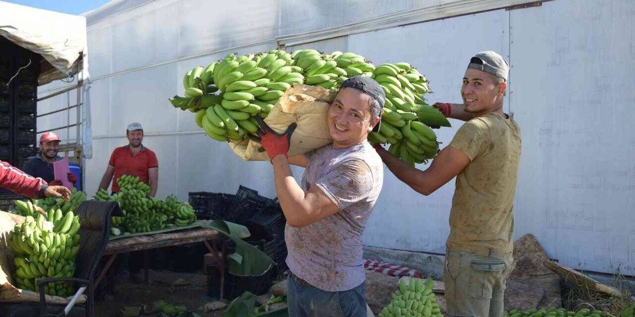 Batı Akdeniz ihracatı 2 milyar 285 milyon dolar oldu