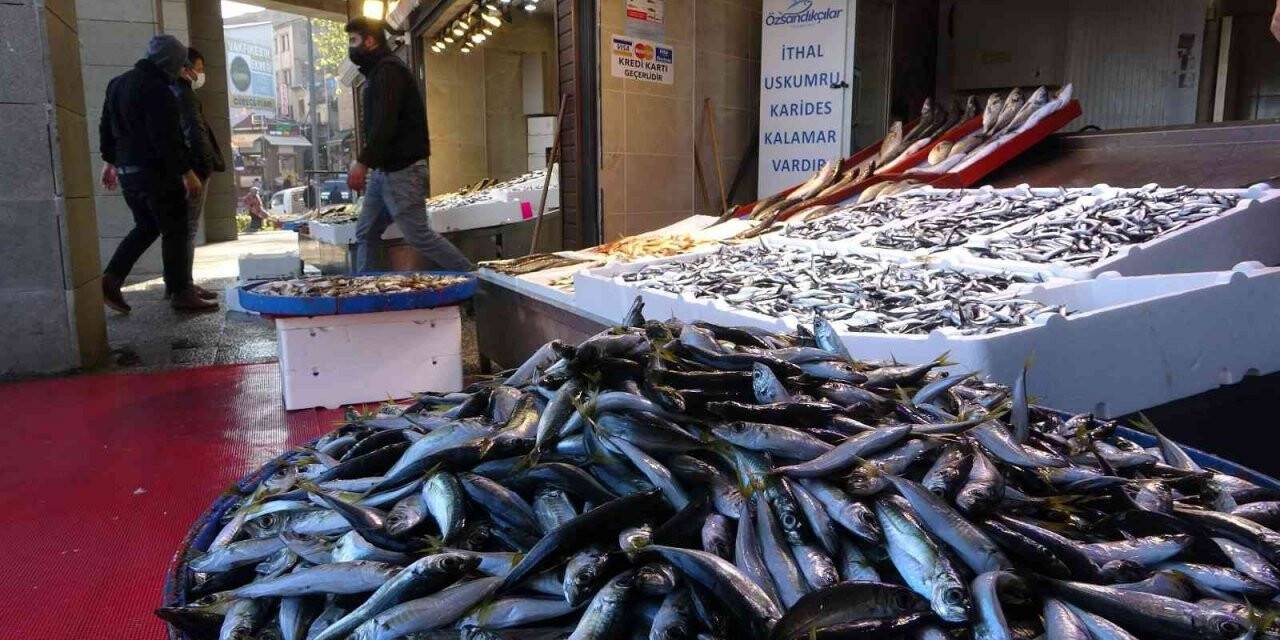 Hamsi azaldı, fiyat yükselişe geçti