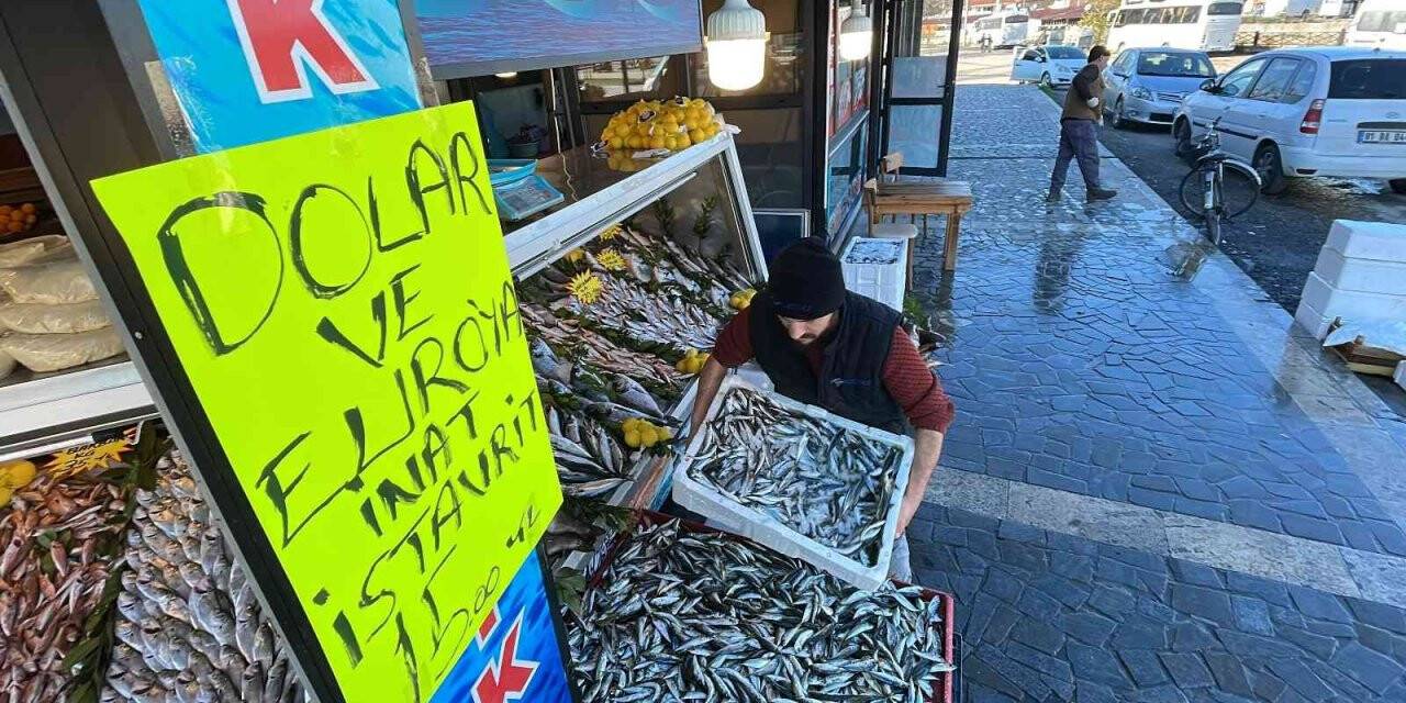 İstavritin kilosunu 15 liraya düşürdü