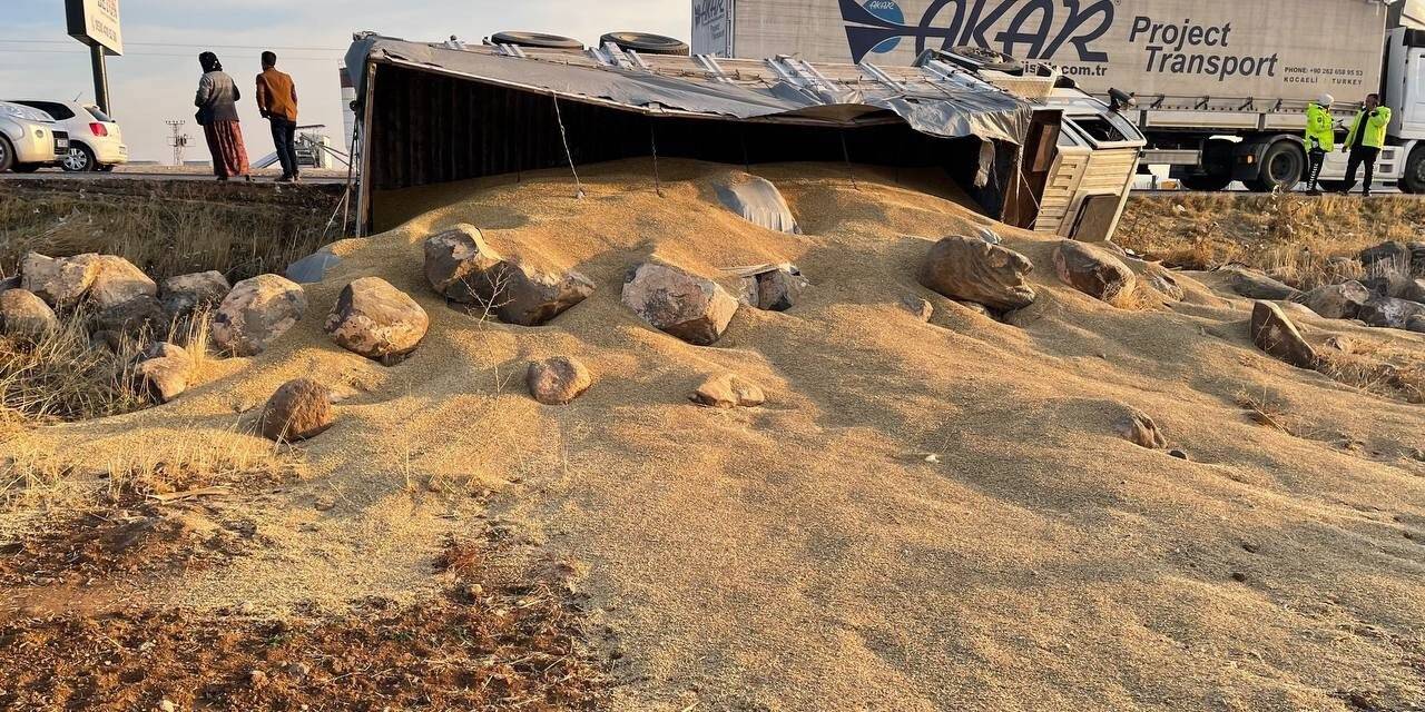 Arpa yüklü kamyon devrildi: 1 yaralı