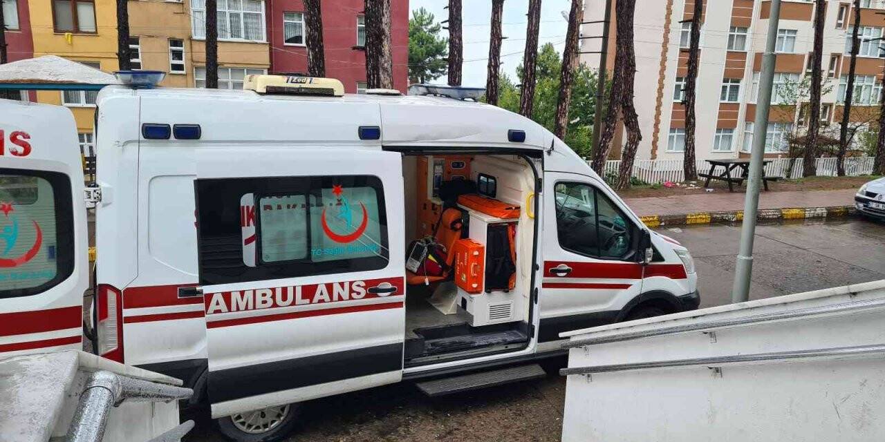 70 yaşındaki adam ağaca çıkarken merdivenden düştü