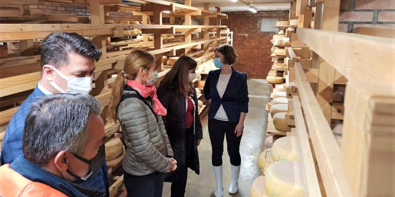 Slovenya’da konu Türkiye’nin yöresel peynirleri oldu