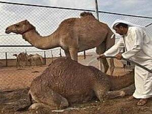 Hayati Uyarı! 'Bu Hayvandan Uzak Durun'