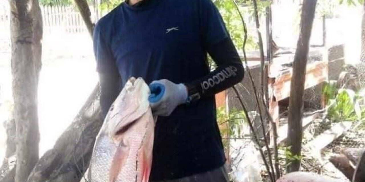14 yaşındaki çocuk kolunu ısıran köpekbalığının burnunu sıkarak saldırıdan kurtuldu