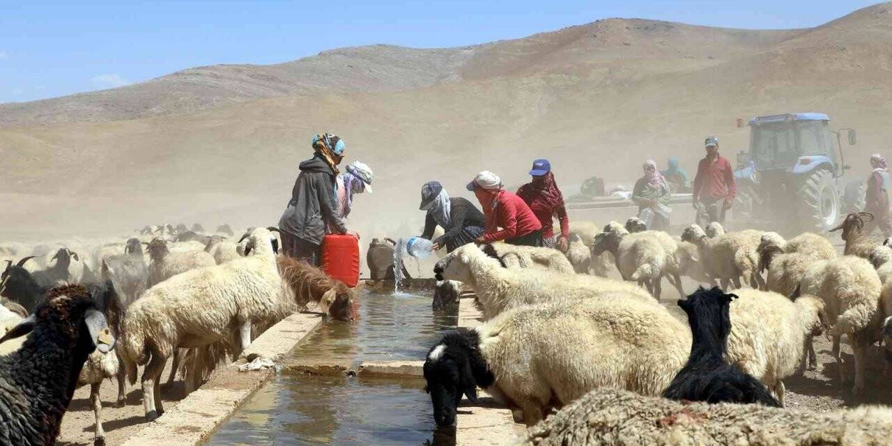 Van Büyükşehir Belediyesi bir yılda kırsal kalkınmaya 40 milyon lira harcadı