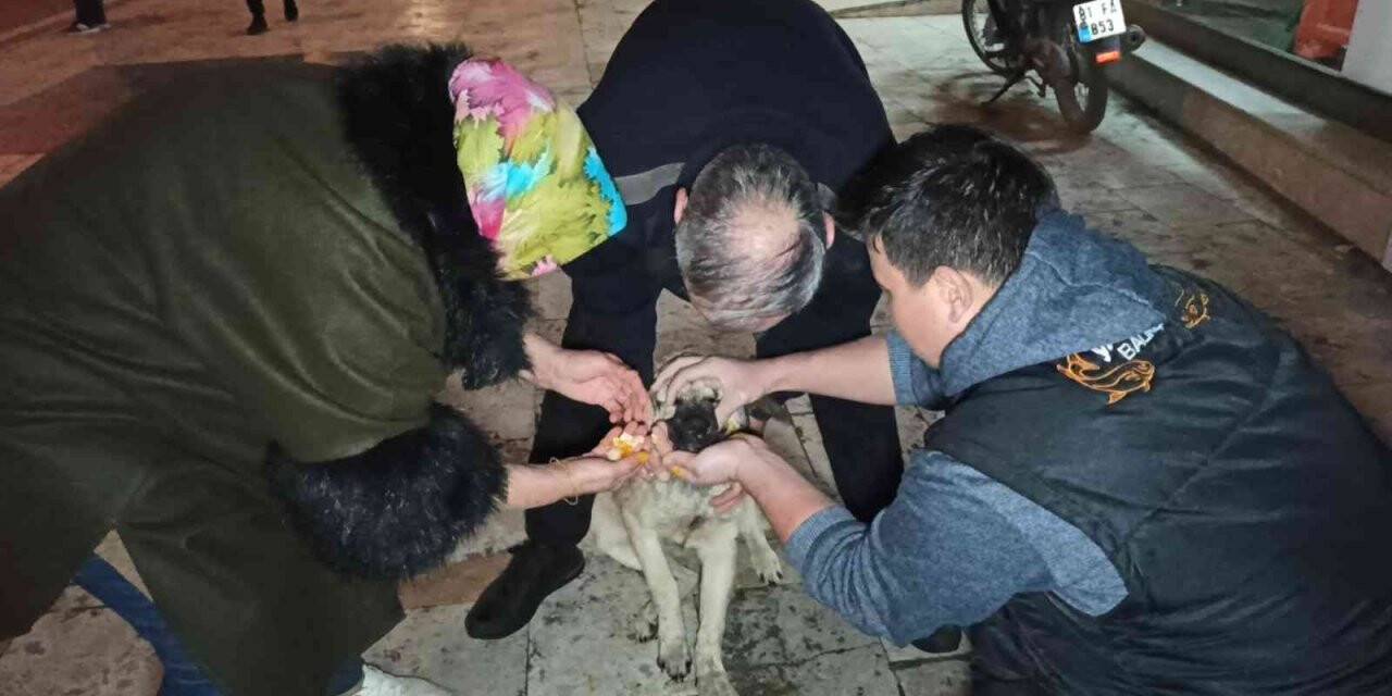 Vatandaşların çabası insanlık ölmemiş dedirtti