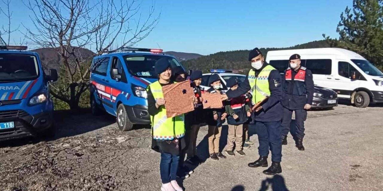 İnebolu’da jandarma ekipleri engellileri yalnız bırakmadı