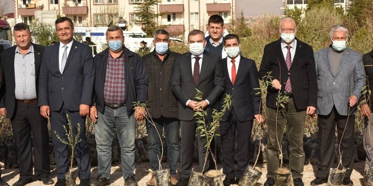Karaman’da çiftçilere fidan dağıtıldı
