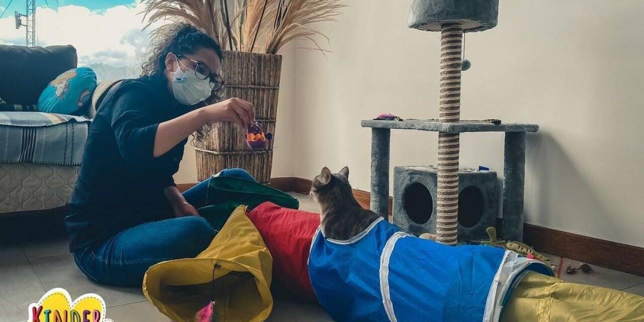 Ekvador’da ilk kedi okulu