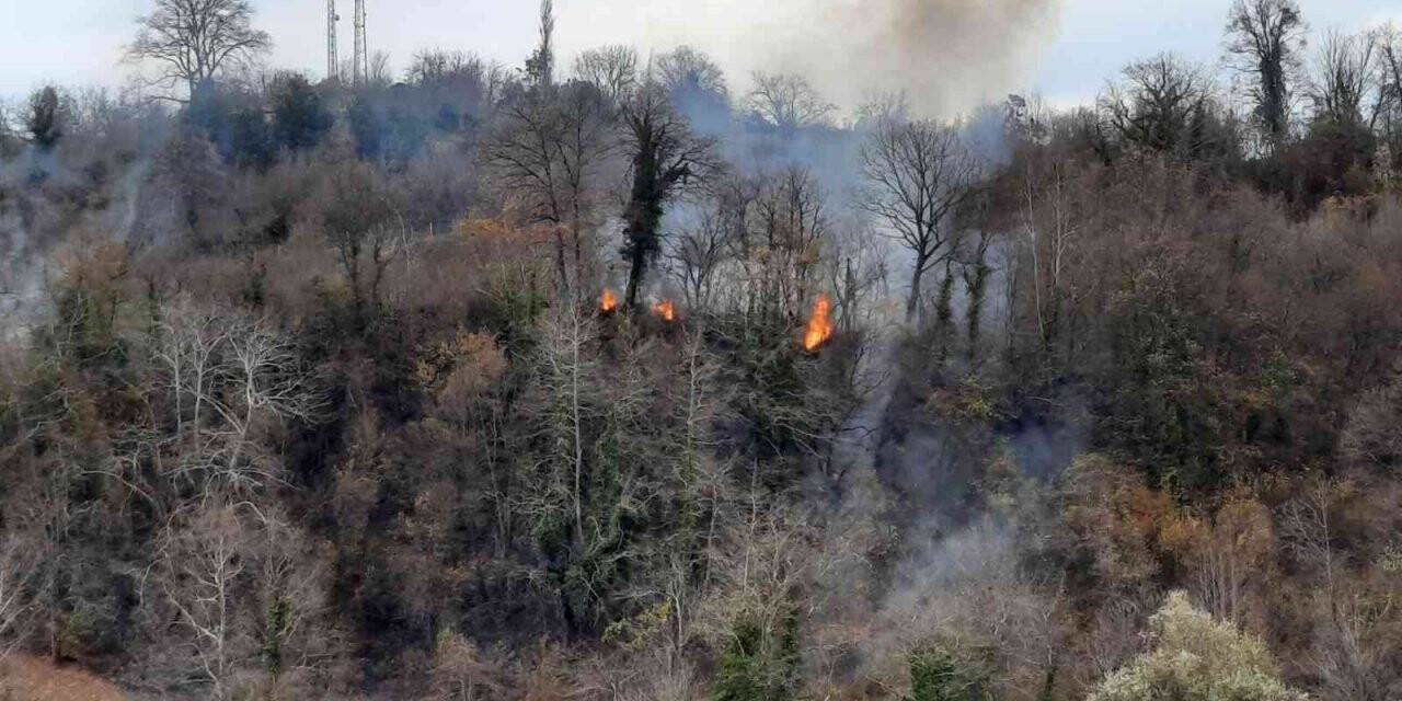 Sinop’ta orman yangını