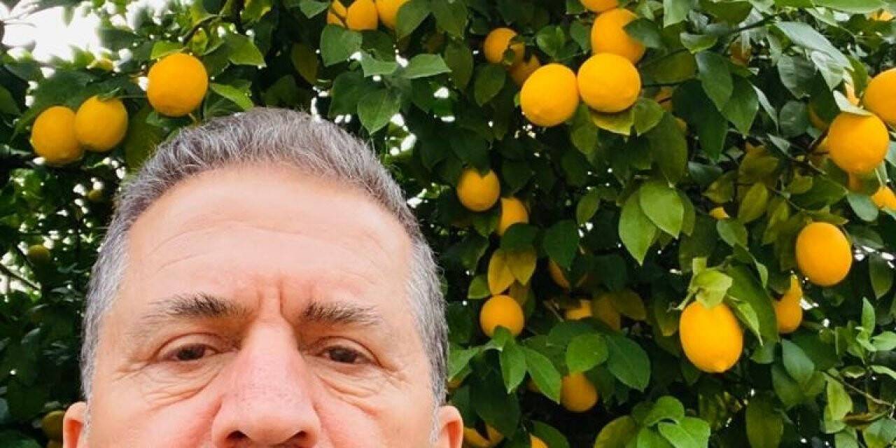 Üretici limona desteği yeterli bulmadı