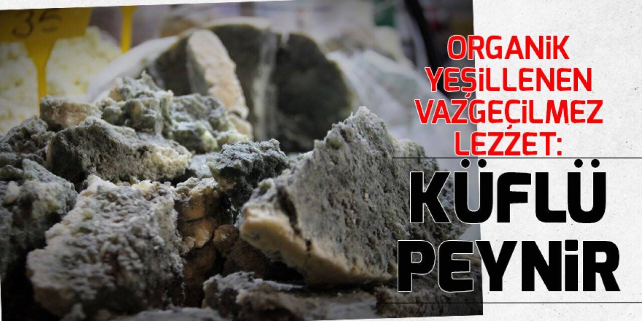 Organik yeşillenen vazgeçilmez lezzet: Küflü peynir