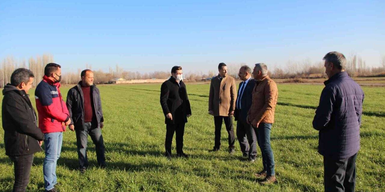 Karakoyunlu’da tarla günü düzenlendi