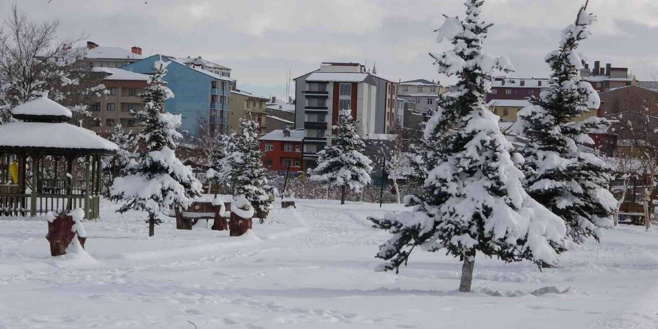Ardahan’da beyaz güzellik