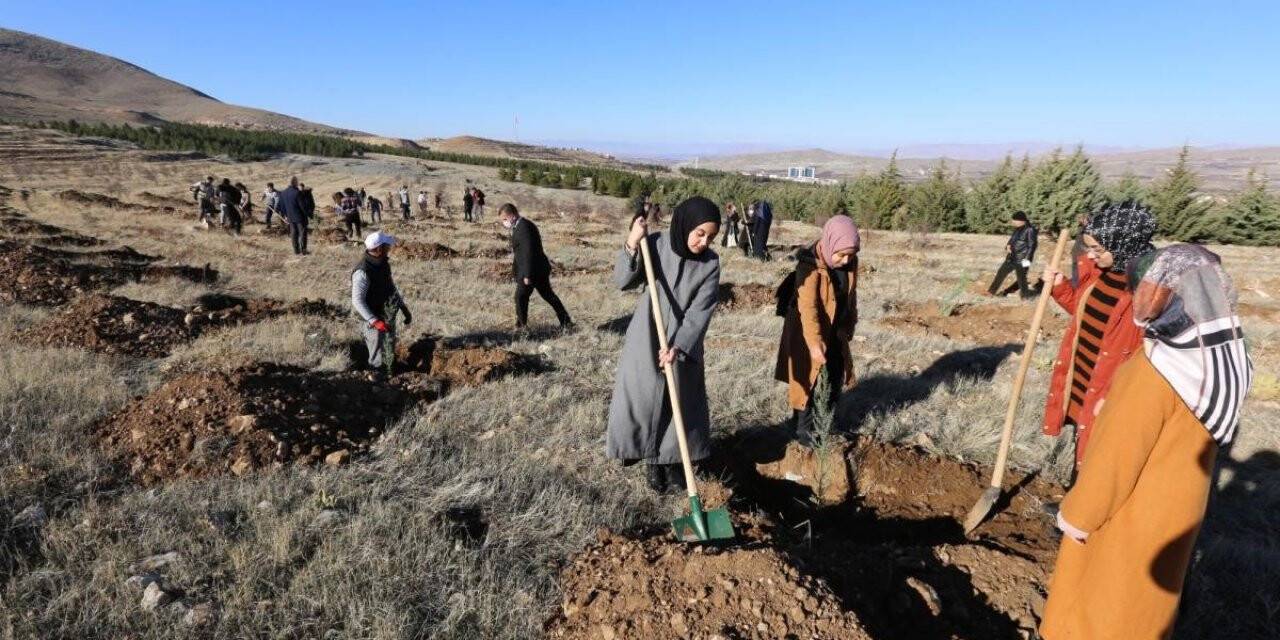 Gençler yeşillendirmeye destek