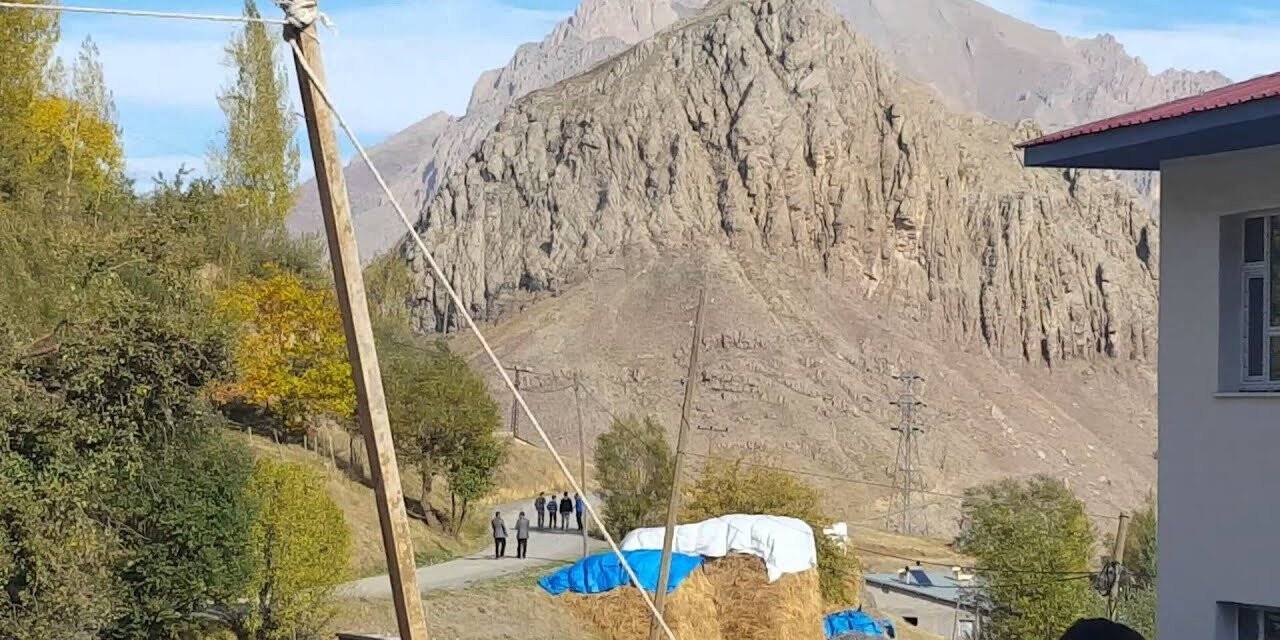 Kurt sürüsü 6 hayvanı telef etti