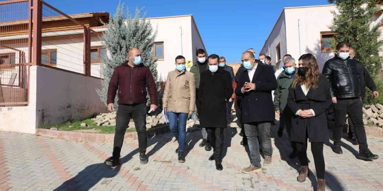 Başkan Şerifoğulları: “Her canlının yaşam hakkına sonuna kadar sahip çıkmak bizim ana prensibimizdir”