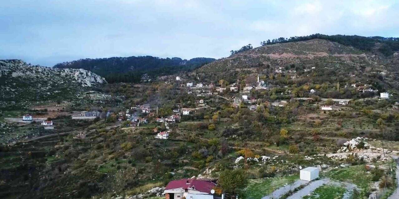 Zeytinköy’ün karası yeşile büründü