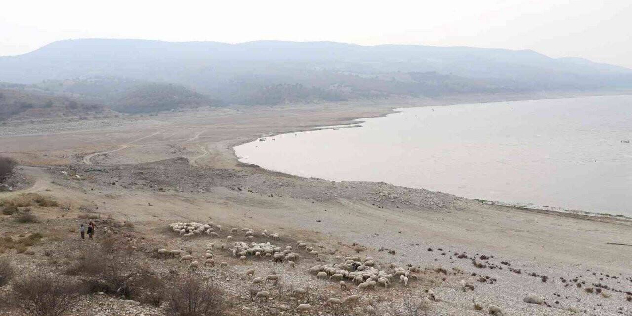 Kuraklık alarmı Malatya için de çalıyor