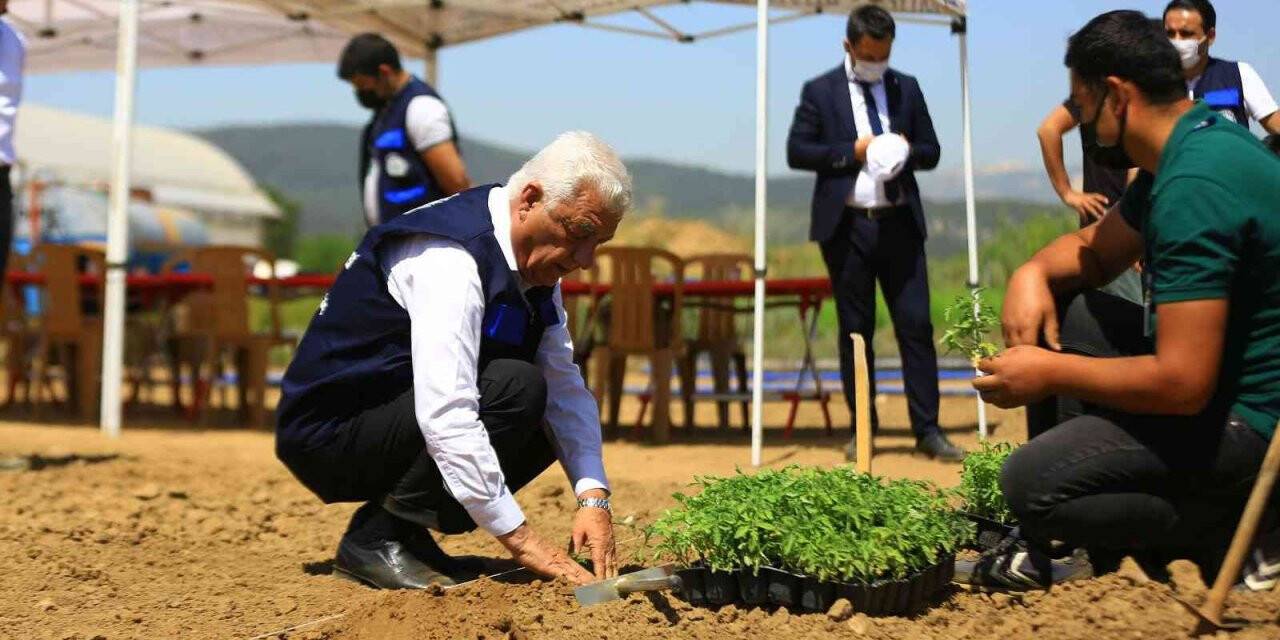 Muğla’da 39 il ve 2 ülkenin toprak, bitki ve su analizi yapıldı