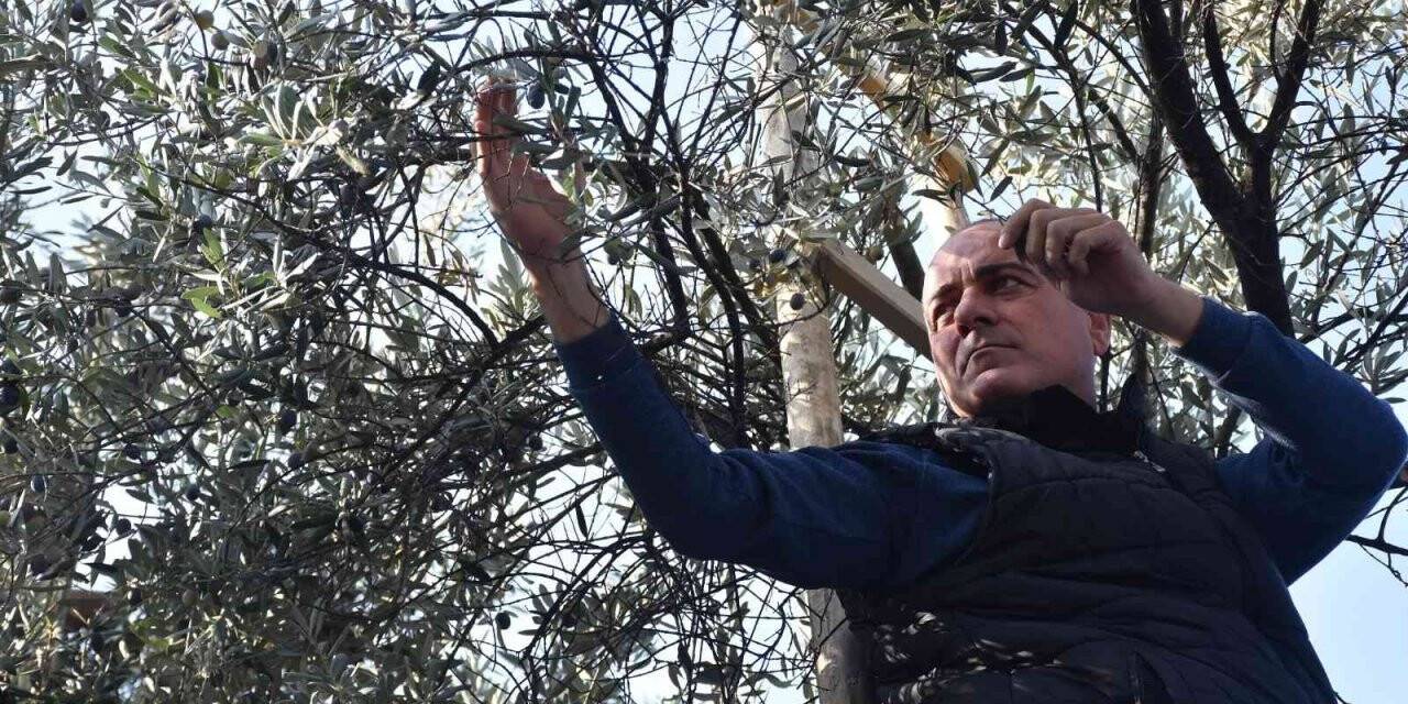 Sertaslan’dan Marmarabirlik’e fiyat güncellemesi çağrısı