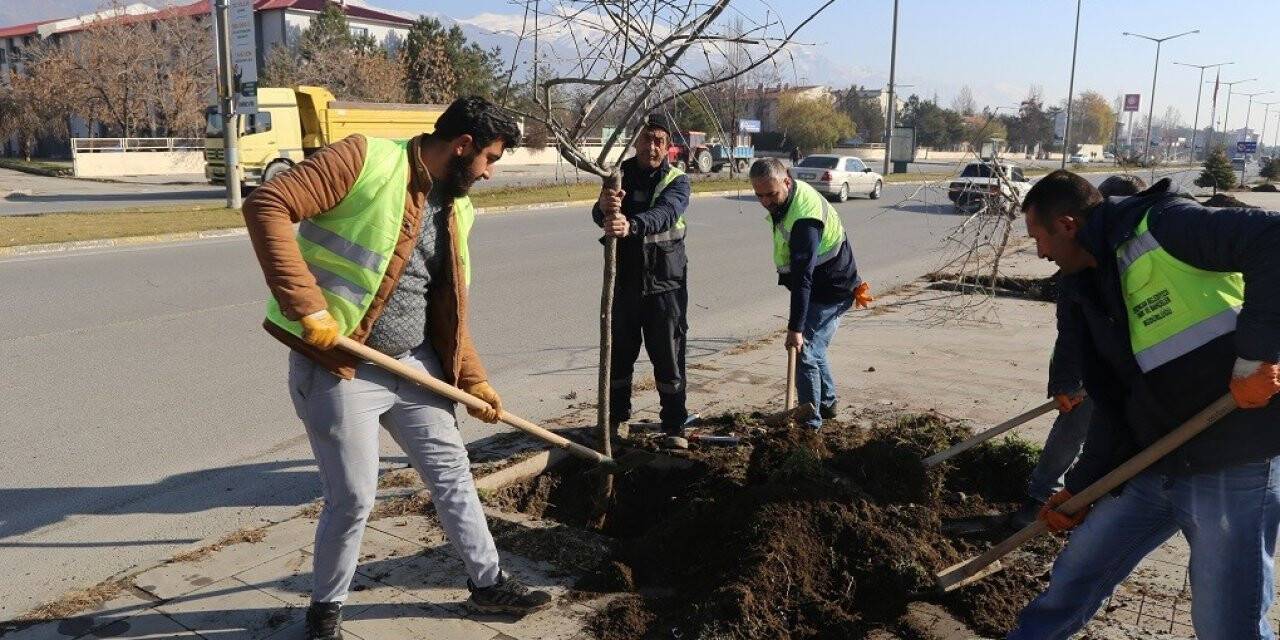 Erzincan’da ağaçlandırma çalışmaları devam ediyor