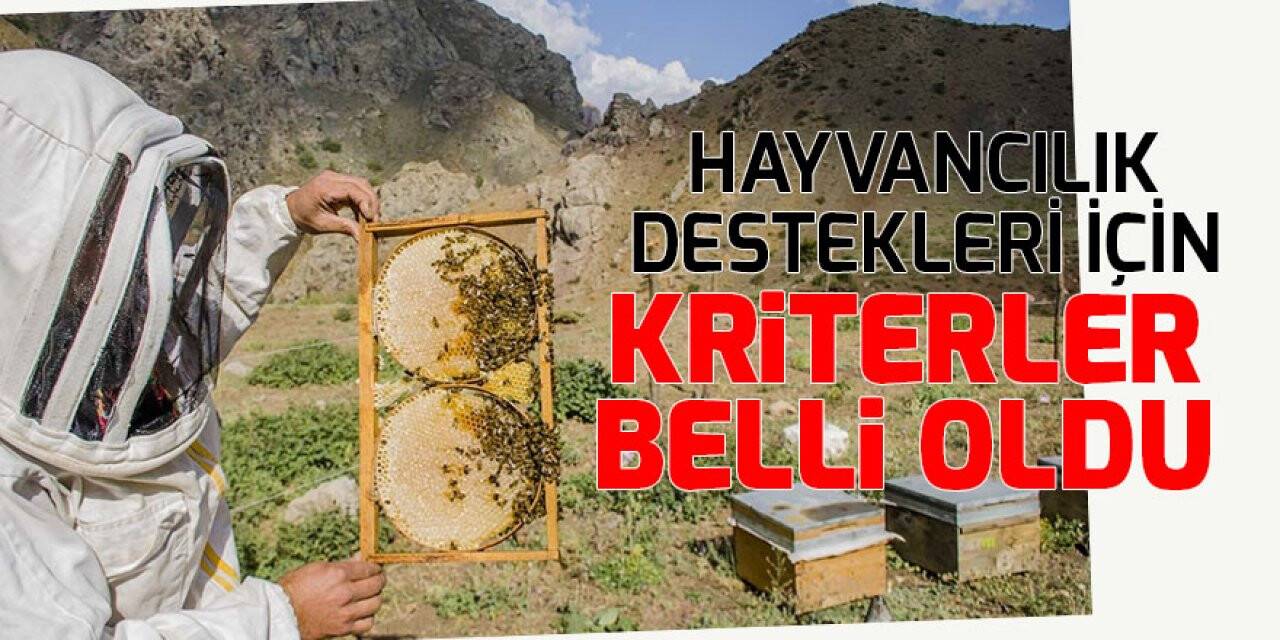 2021 yılı hayvancılık desteklemelerinin uygulama usul ve esasları belli oldu