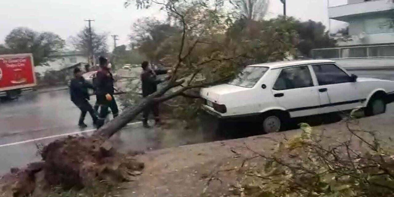 Fırtınada ağaç kökünden söküldü, aracın üzerine devrildi