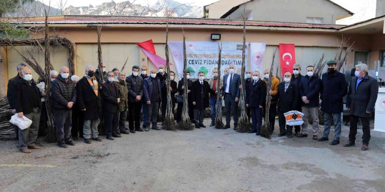 Gümüşhane’de 5 bin 322 adet ceviz fidanı daha toprakla buluştu