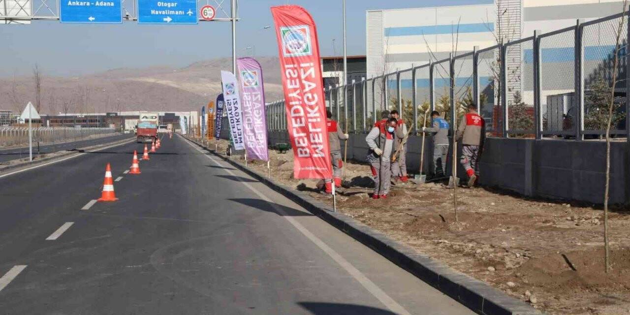 Yenilenen OSB yolunda ağaçlandırma çalışması yapıldı