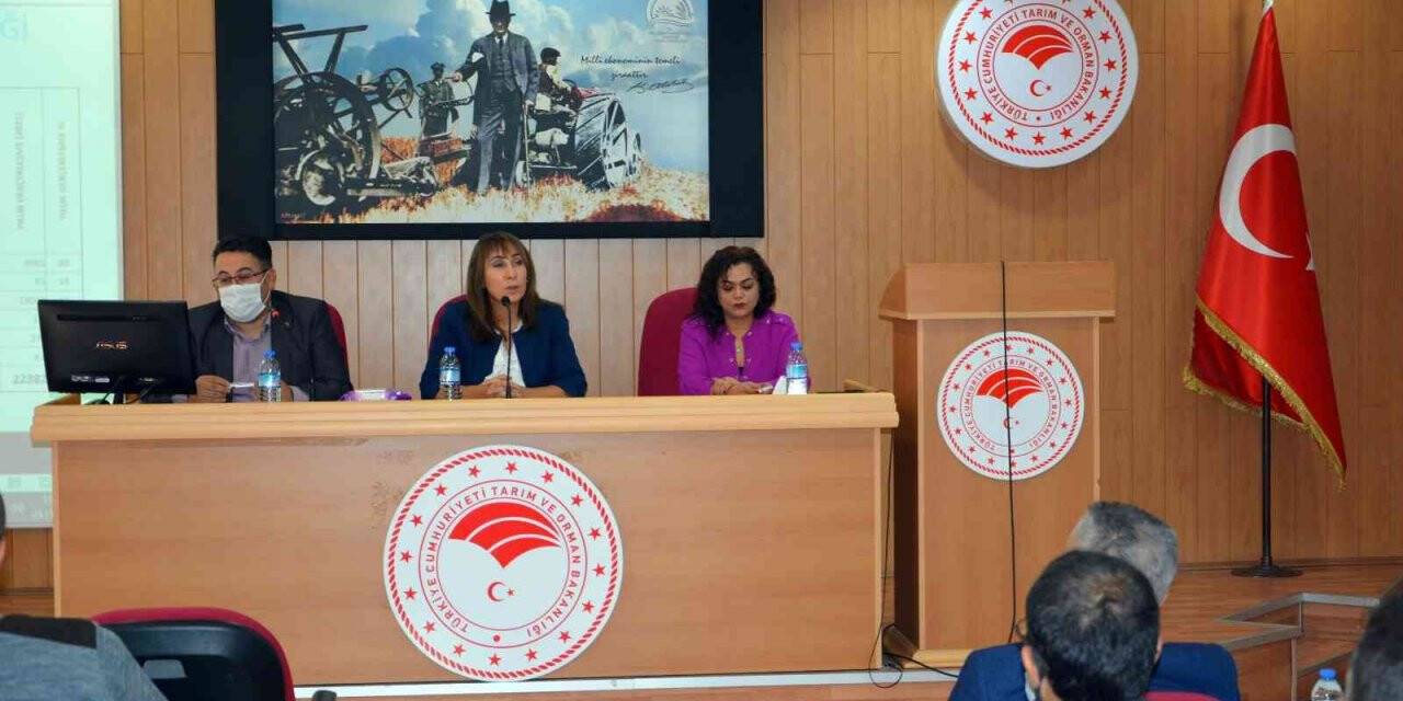 Aydın’da su ürünlerini arttırmaya yönelik toplantı düzenlendi
