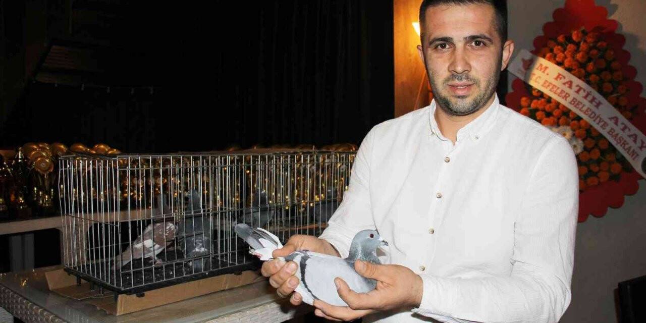 Dereceye giren güvercin sahipleri kupalarını aldı