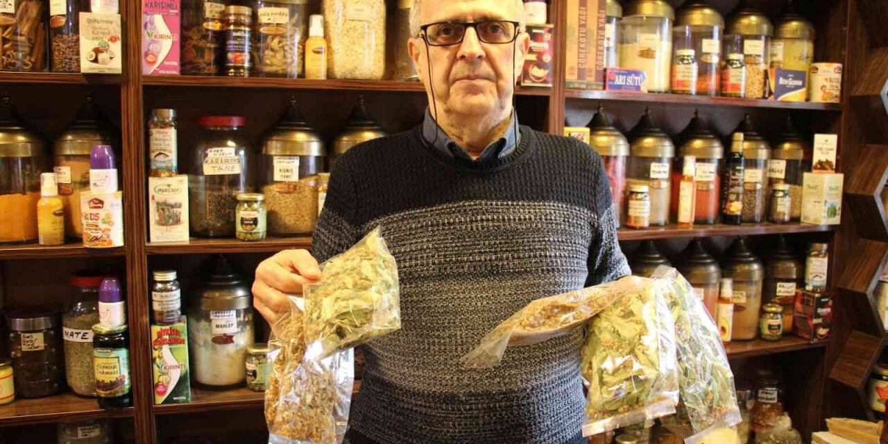 Soğuk havayı gören ıhlamura sarıldı