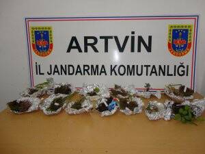 Alman kardeşlere para cezası
