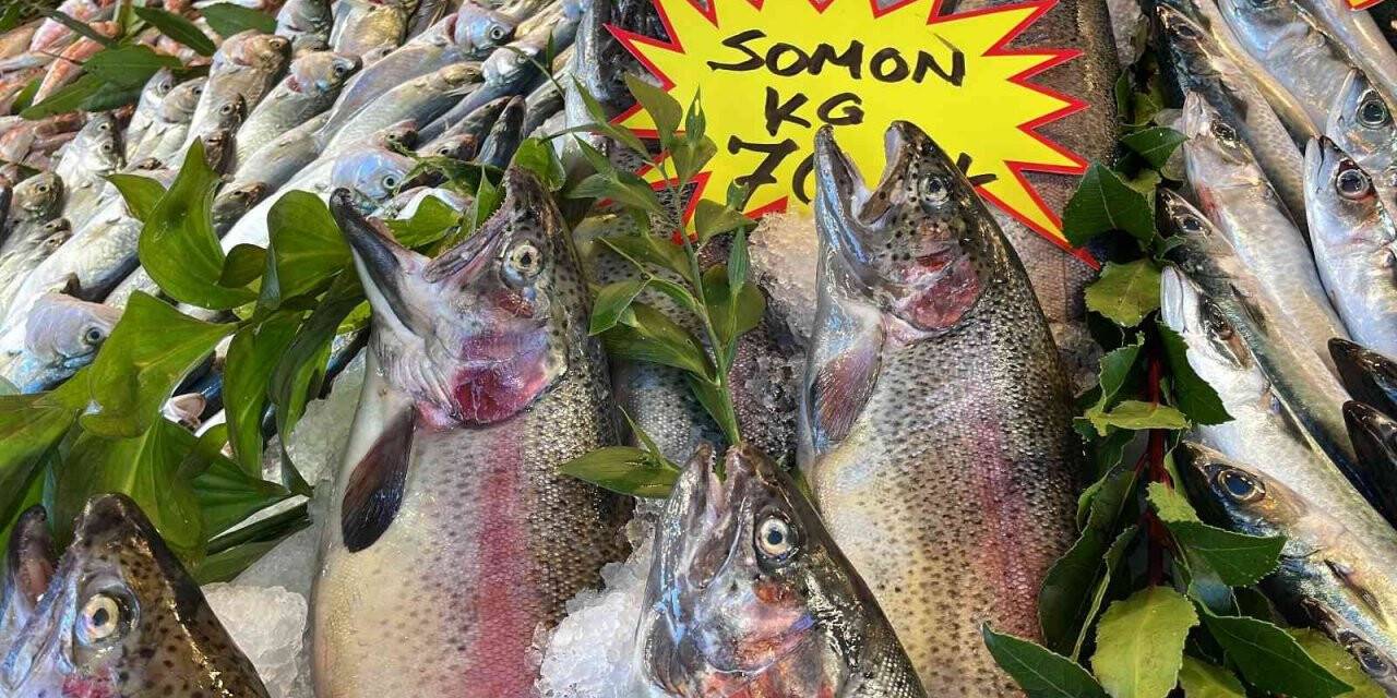 Karadeniz’in yerli somonu Norveç’e rakip