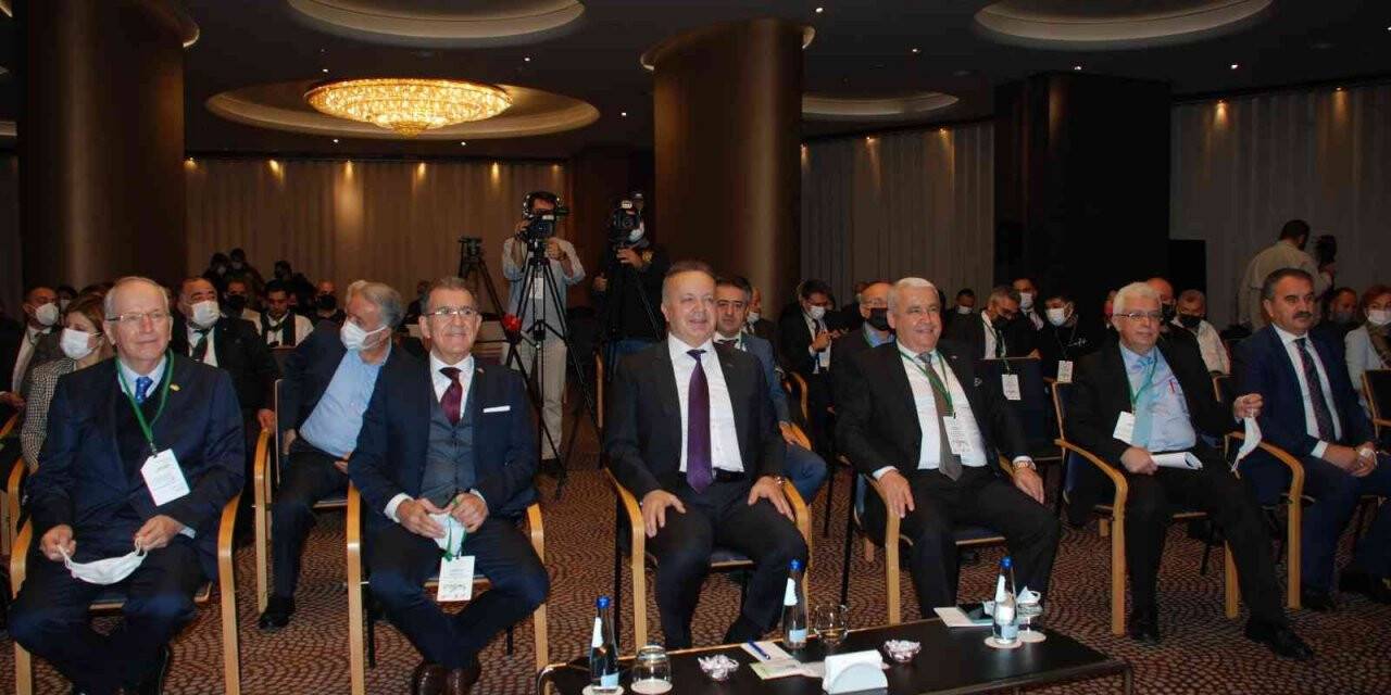 Bu yılın zeytinyağı ihracatı hedefi 50 bin ton