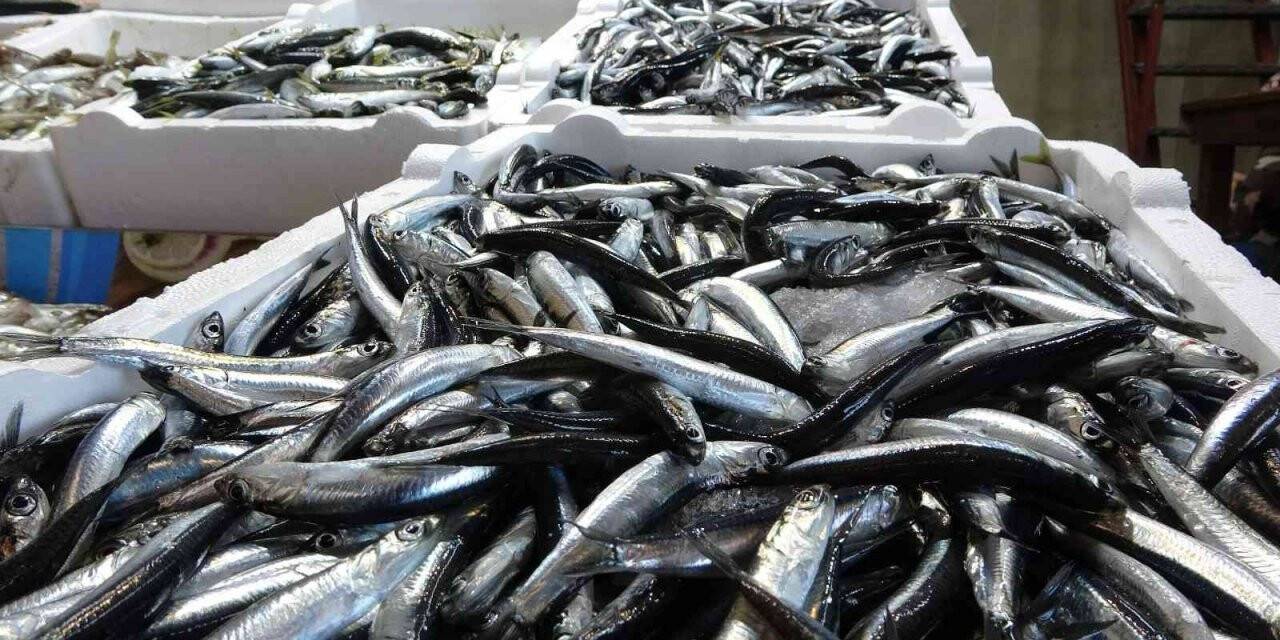Hamsinin fiyatı bu sezon ilk kez bu kadar yükseldi