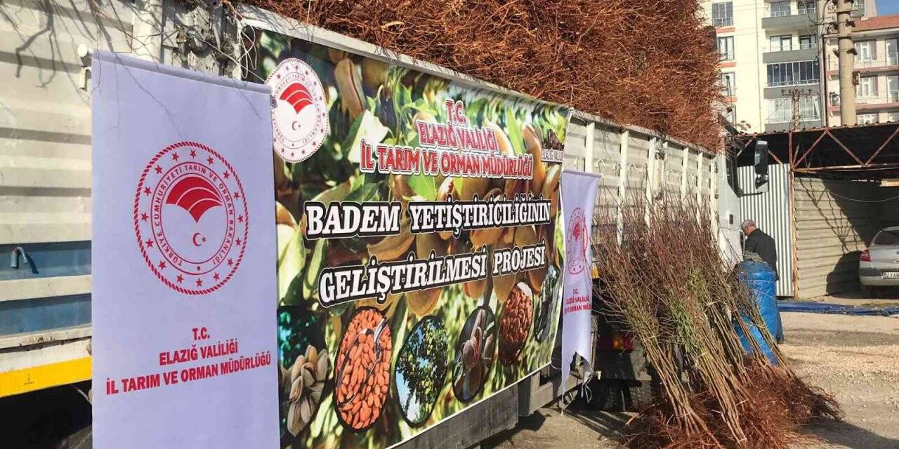 Elazığ’da çiftçiye 68 bin 500 adet badem fidanı dağıtıldı