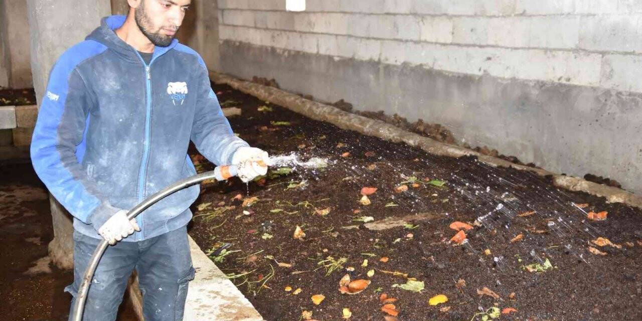 Siverekli genç girişimci, solucanlarla organik gübre üretiyor