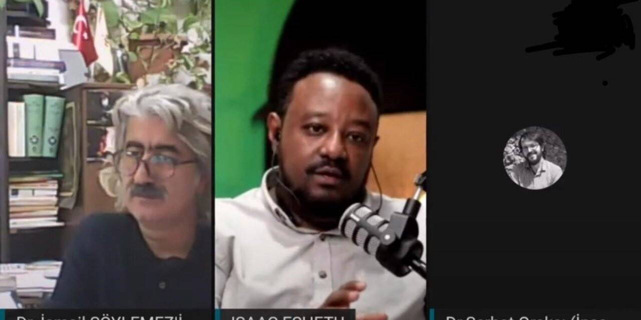 Etiyopya’daki Tigray krizi web seminerde tartışıldı