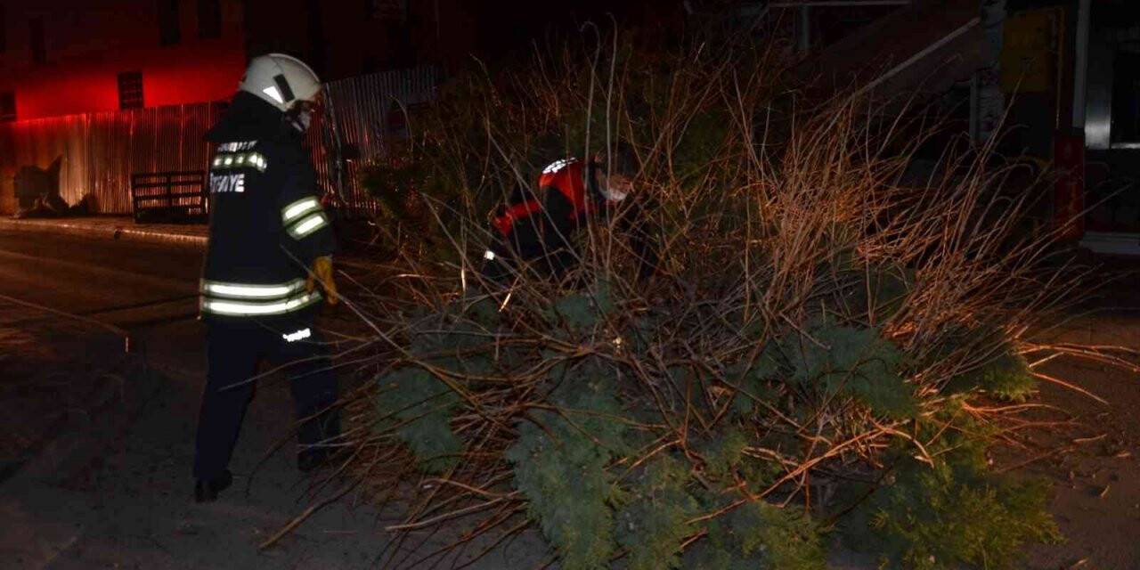 Devrilen ağacın altında kalan 1 kişi yaralandı