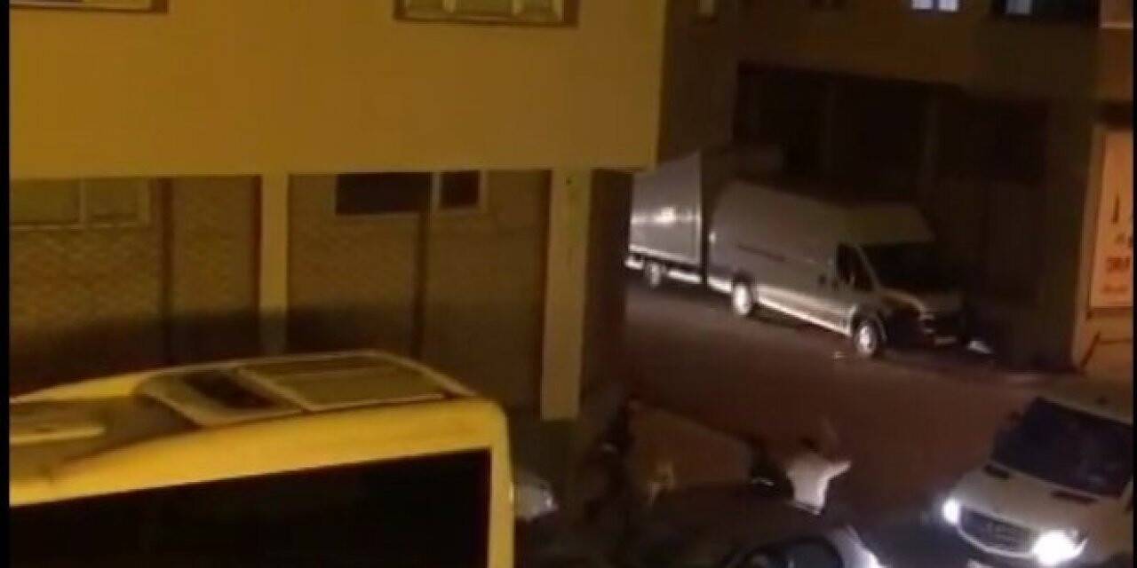Pendik’te hem köpeğe hem köpeğin sahibine sopalı saldırı