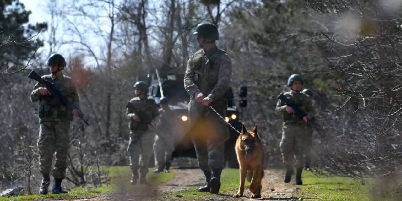 Yunanistan’a yasa dışı yollarla geçmeye çalışan 9 kişi yakalandı