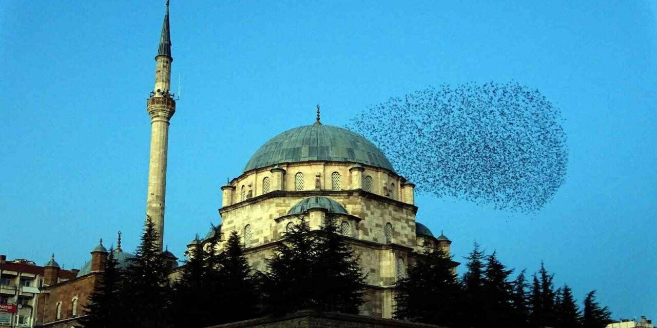 Sığırcık sürüsü ezan sesi ile mest etti