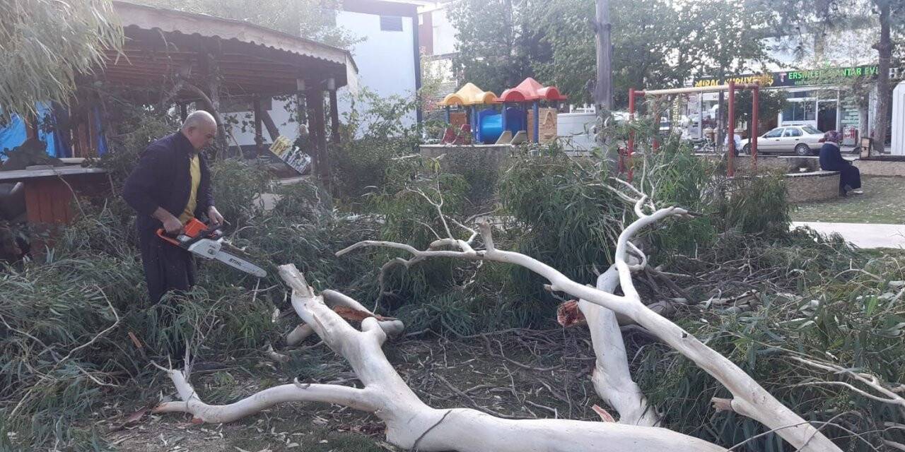Kozan’da şiddetli fırtına ağaçları devirdi
