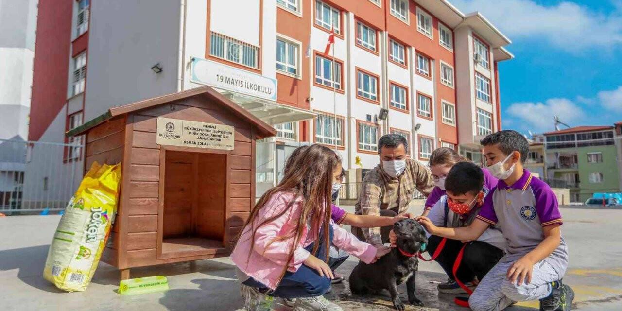 Her okula bir sokak köpeği projesi 25 okula ulaştı